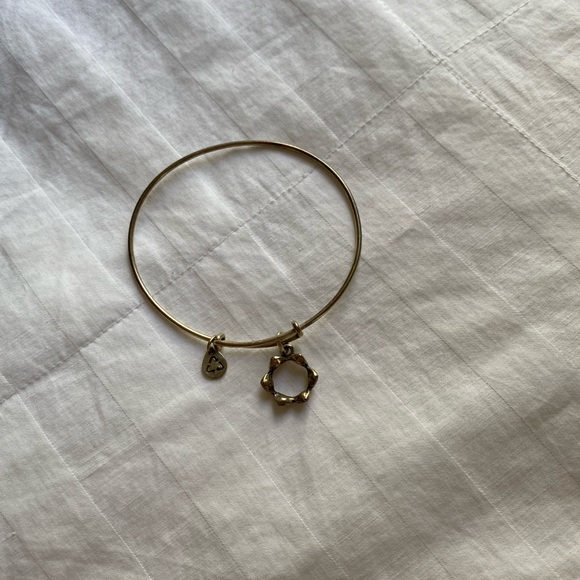 Alex and Ani Silver Crown Bracelet 👑 - Picture 3 of 10